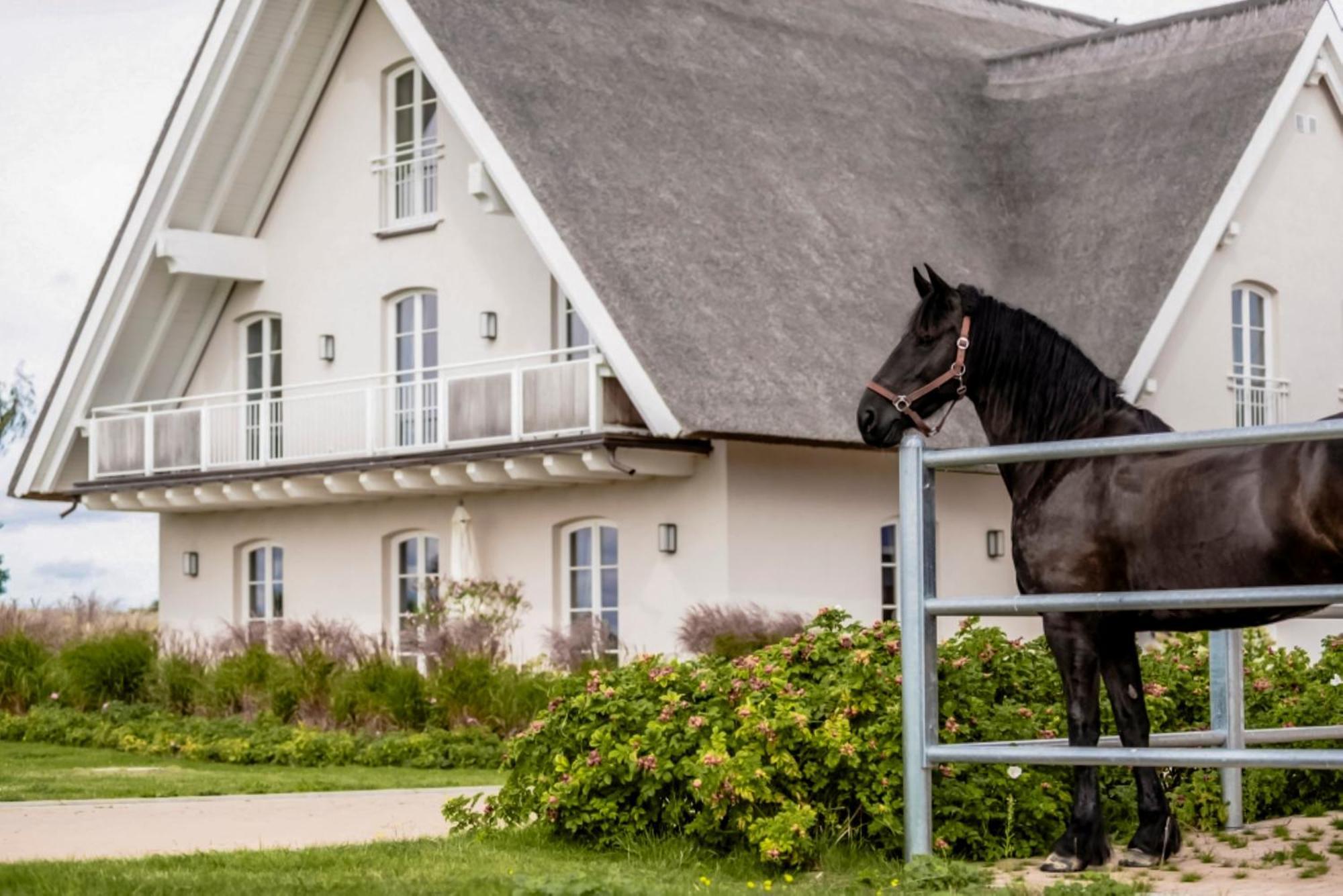 Ferienwohnung Lerchenhof Reestow Exterior foto